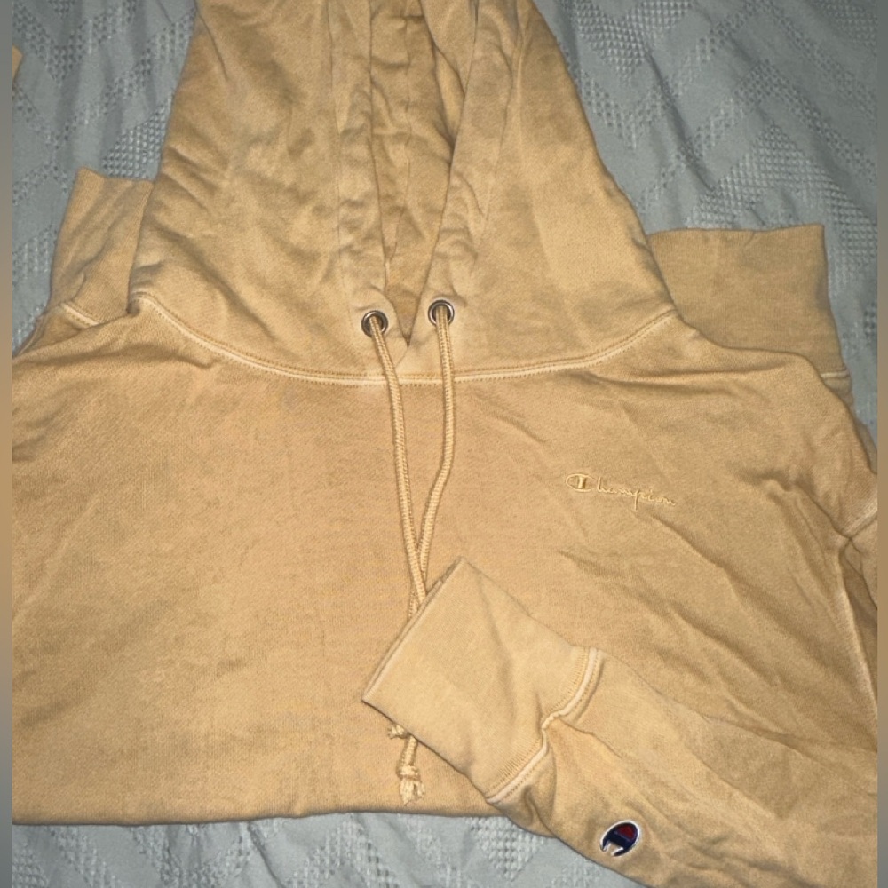 Champion hoodie
